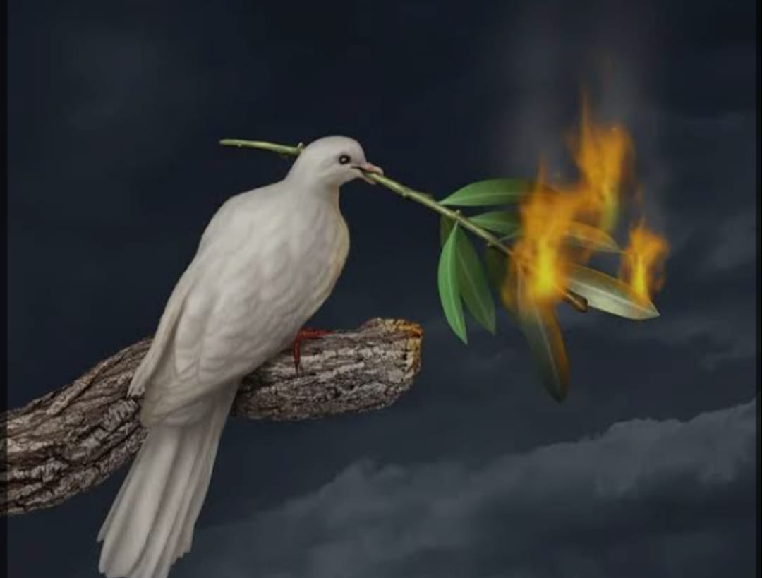 Imagem