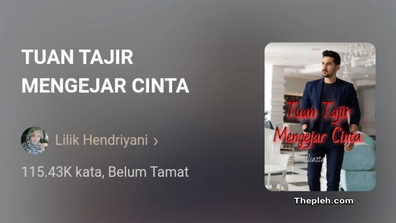 Novel Tuan Tajir Mengejar Cinta