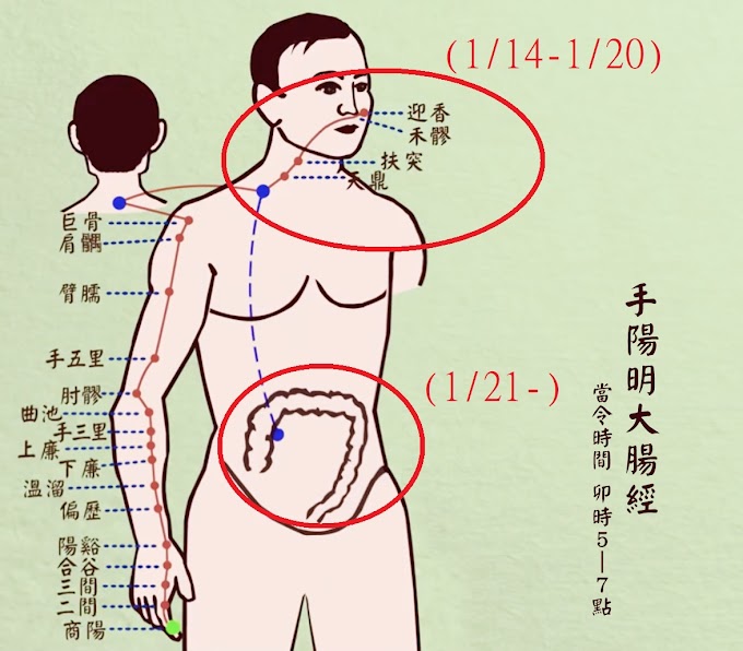  😕明明飲食很清淡，怎還會腸胃不舒服？