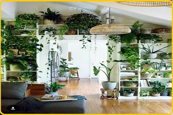 indoor decorating with plants