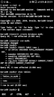 menambahkan data dengan mysql pada console