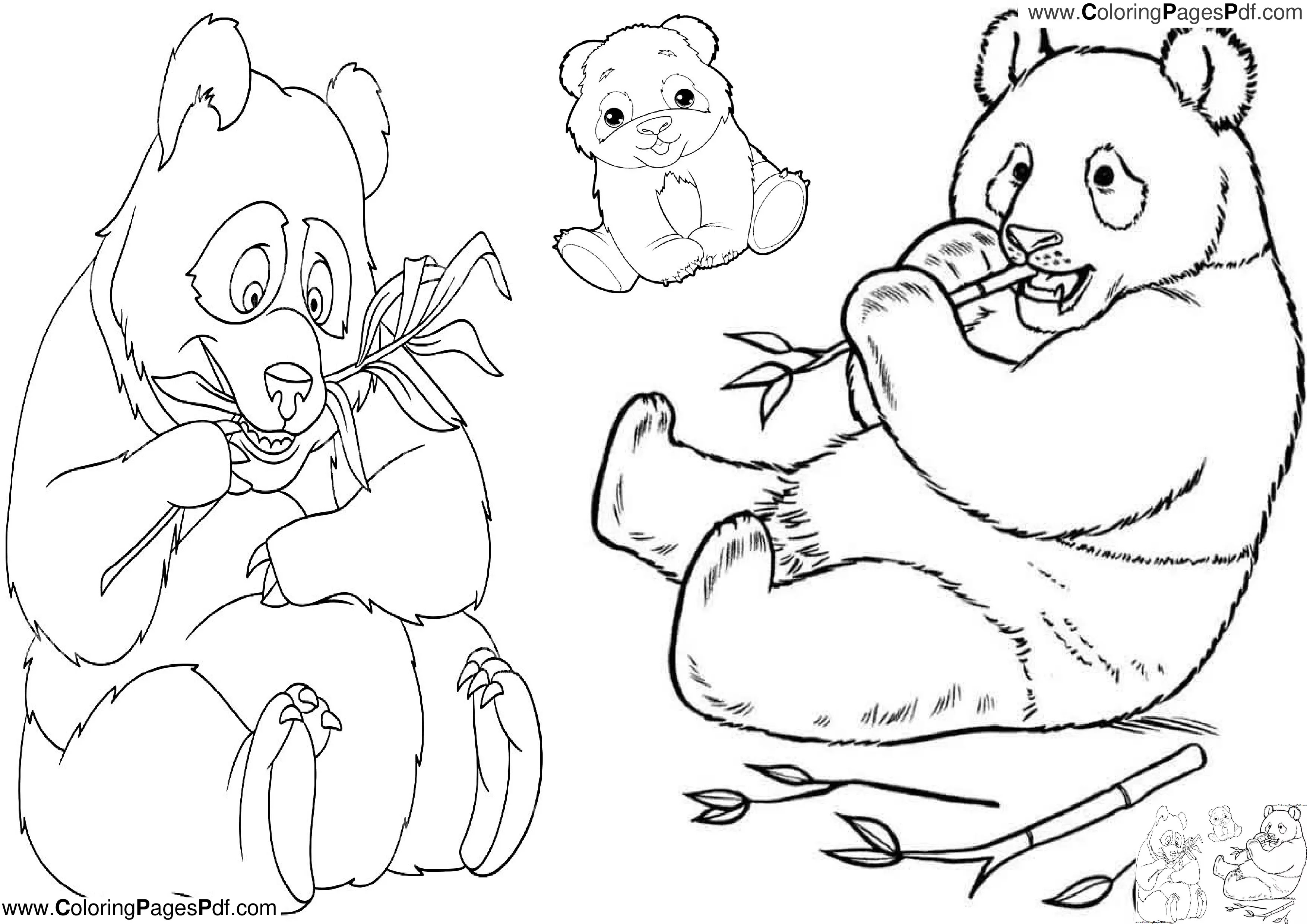 Panda coloring pages cute