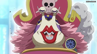 ワンピースアニメ WCI編 813話 ビッグ・マム 電伝虫 Charlotte Linlin | ONE PIECE Episode 813