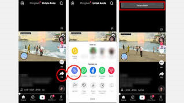 Cara Menyalin Link TikTok
