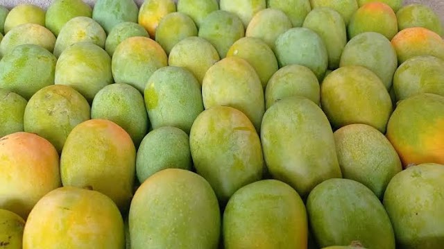 Rich Health Benfits of Mangoes