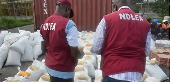 NDLEA nabs port operator, dock worker at Tin Can