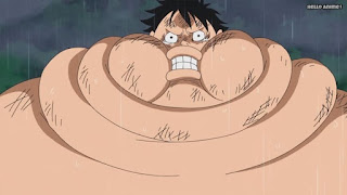 ワンピースアニメ WCI編 805話 ルフィ 太る Monkey D. Luffy | ONE PIECE Episode 805