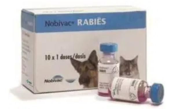 Rabies Vaccine Information for Goat Farmers