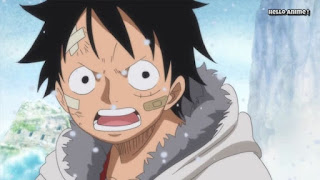 ワンピースアニメ WCI編 869話 ルフィ レイリー 修行 ルスカイナ 見聞色の覇気 Luffy Rayleigh observation haki| ONE PIECE ホールケーキアイランド編