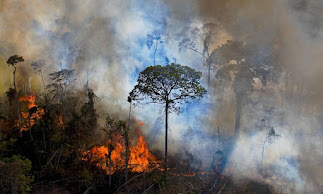 Amazônia ganha destaque na disputa presidencial e ultrapassa pauta ambiental