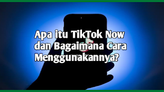 Apa itu TikTok Now dan Bagaimana Cara Menggunakannya?