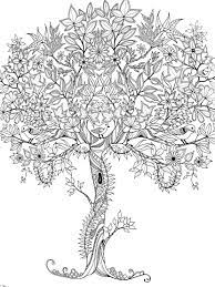 Beautiful tree coloring pages for adults