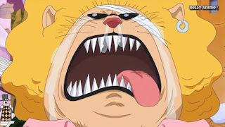 ワンピースアニメ WCI編 855話 ペコムズ かわいい | ONE PIECE ホールケーキアイランド編