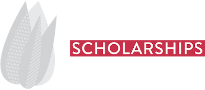 Turkey Government Fully Funded Scholarship Program for International Students 2023