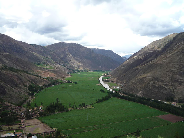 Vista aérea de cultivos de maíz en el Valle Sagrado