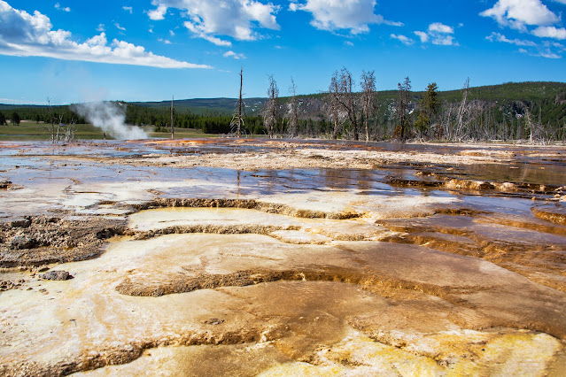 Biscuit Basin Yellowstone National Park Wyoming USA