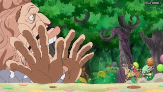 ワンピースアニメ WCI編 792話 パウンド Pound | ONE PIECE Episode 792