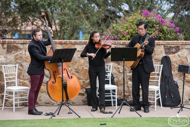 live musicians playing at wedding ceremony