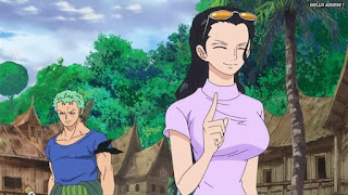 ワンピースアニメ ゾウ編 773話 ロビン ロロノアゾロ | ONE PIECE Episode 773