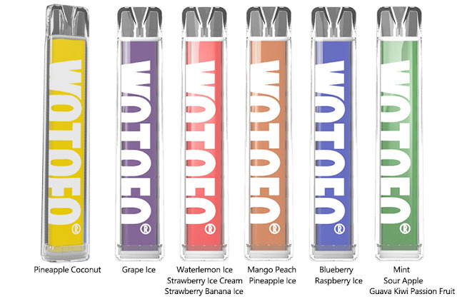 Wotofo Wafer Disposable Pen Kit 600 Puffs-Bring You New Experience！