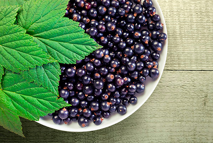 What is Black currant: Uses, Health Benefits and Harms, Side Effects, Juice, Tea