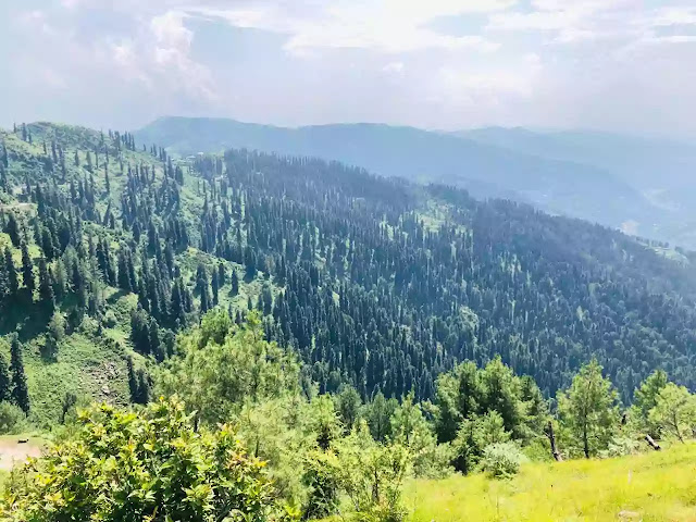 Lasdana Bagh Azad Kashmir | Location, Height, Resort, Weather