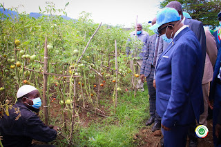 Fomboni : Le président Azali a visité la coopérative d’un jeune agriculteur et producteur de tomates