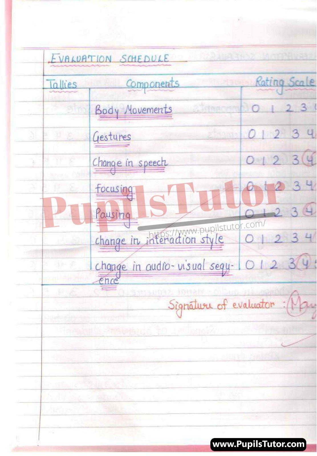 (Commerce) Business Studies Lesson Plan On Retailer For Class/Grade 11 And 12 For CBSE NCERT School And College Teachers  – (Page And Image Number 3) – www.pupilstutor.com