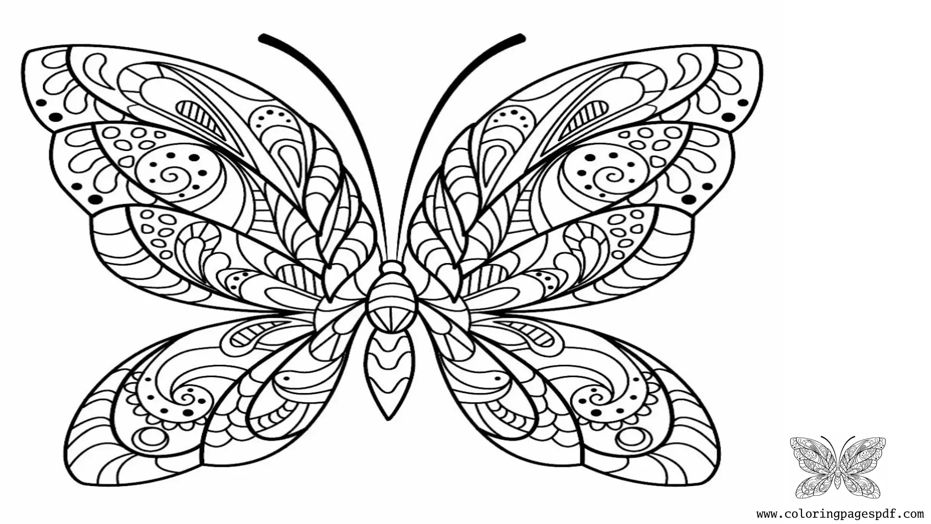 Coloring Page Of A Butterfly With Huge Wings
