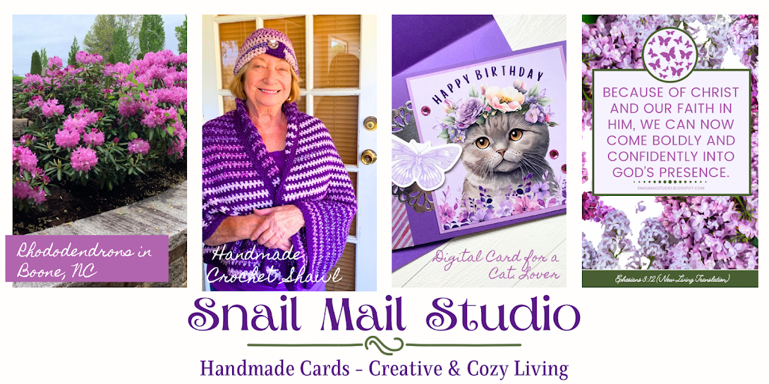 Snail Mail Studio