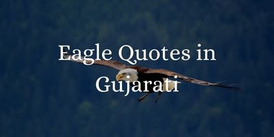 Eagle Quotes in Gujarati language.