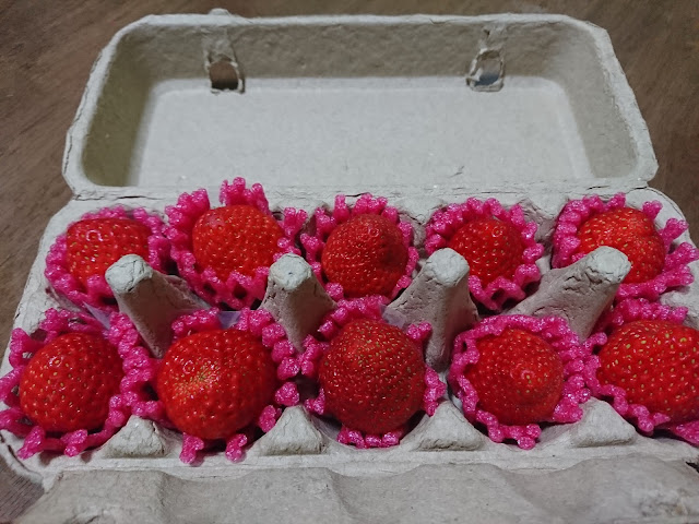 草莓、白草莓，果實strawberry, white strawberry, fruit