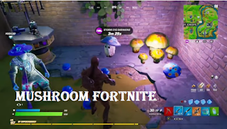 Where to find Bud the Mushroom in fortnite Season 8