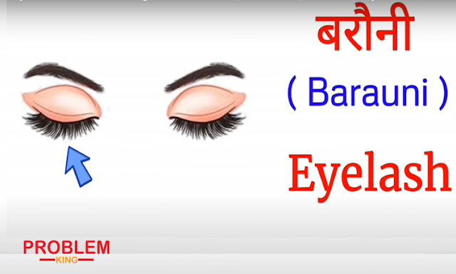 Human Body Parts Name Hindi & English with Pictures