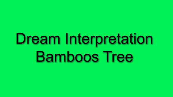 Dream Interpretation Of Bamboos Tree See Bamboo Tree In Your Dream