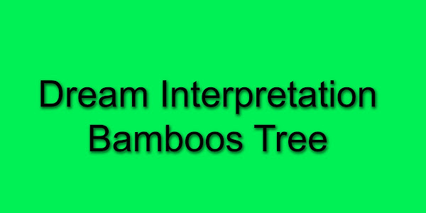 Dream Interpretation Of Bamboos Tree See Bamboo Tree In Your Dream