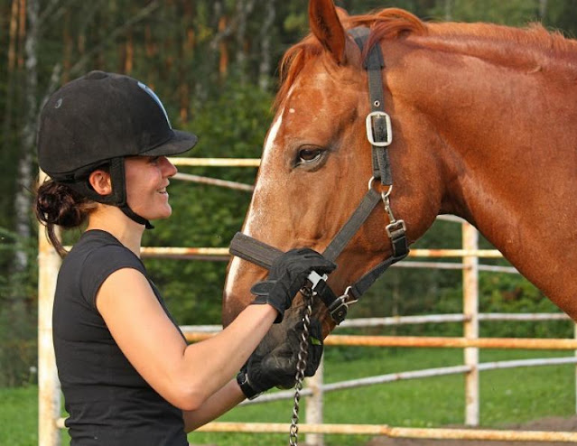 Horse Riding Helmets