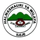 New Government Jobs at ILEJE District Council in Songwe - 4 Various Posts