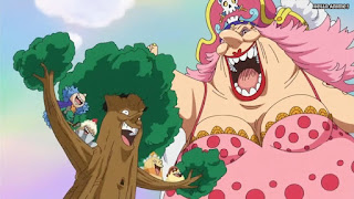 ワンピースアニメ WCI編 786話 ビッグ・マム Charlotte Linlin | ONE PIECE Episode 786