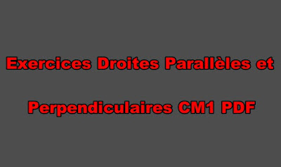 Exercices Droites Parallèles et Perpendiculaires CM1 PDF