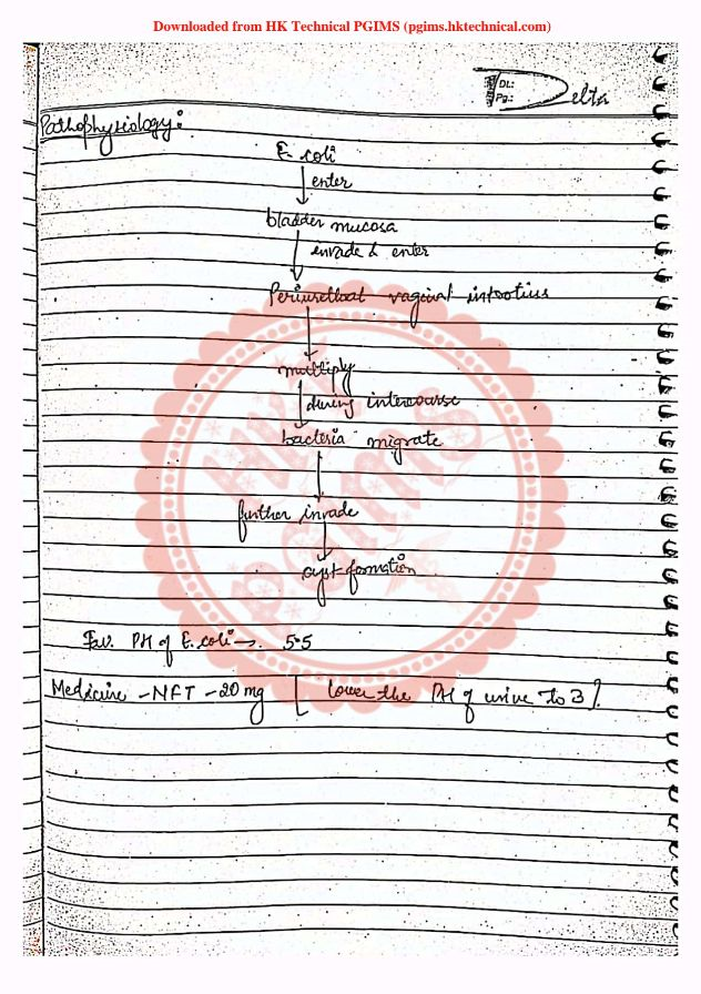 Urinary Tract Infection Pathophysiology Notes B Pharmacy 2nd Semester