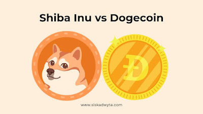Mengenal Shiba Inu dan dogecoin, kelebihan serta perbedaannya