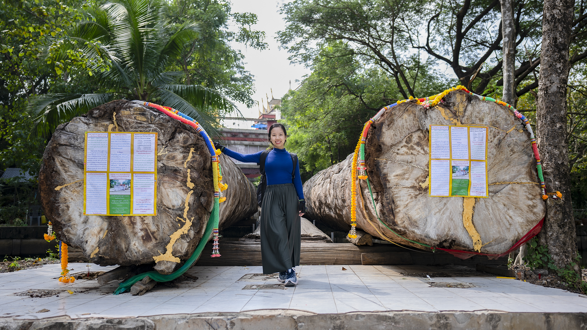 Cây cầu ngay cổng vào Wat Samphran