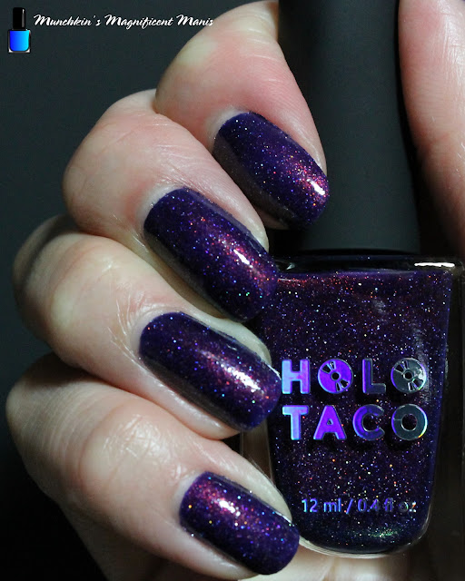 Holo Taco- Tanzanite Away