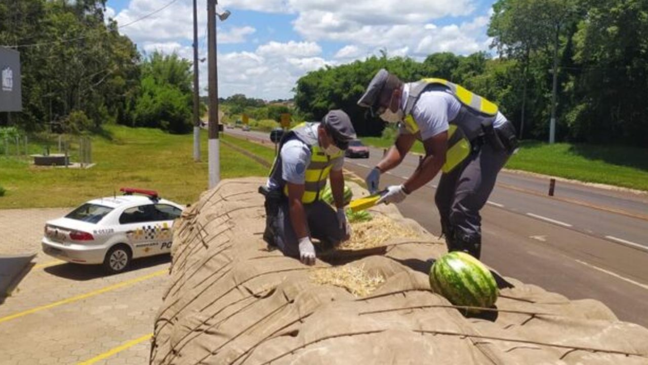 Carga de melancia escondia mais de uma tonelada de maconha em Avaré
