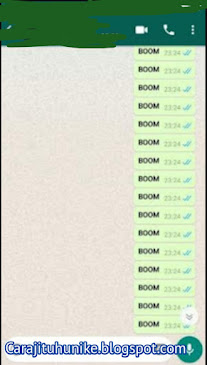 Cara Spam Chat Wa BOOM CHAT Otomatis Hanya 1x  Klik