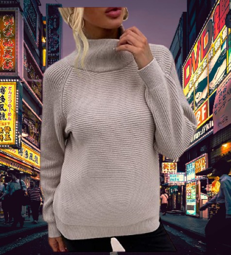 Long Sleeve Sweater Women Turtleneck