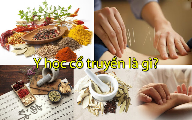 Review Ngành Y học cổ truyền Chọn đúng Nghề Chọn đúng Trường