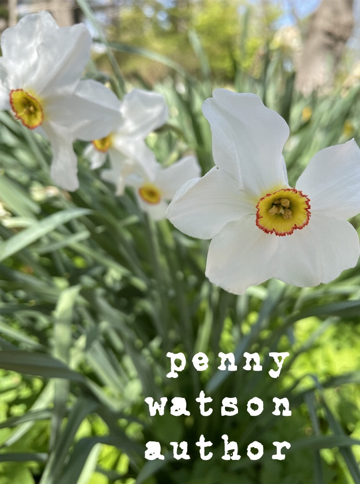 Penny Watson Author