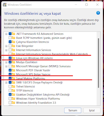 WSL Açılması gereken özellikler